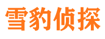 安义市侦探